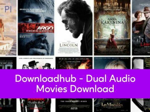 Downloadhub  – 300MB Dual Audio Movies Download