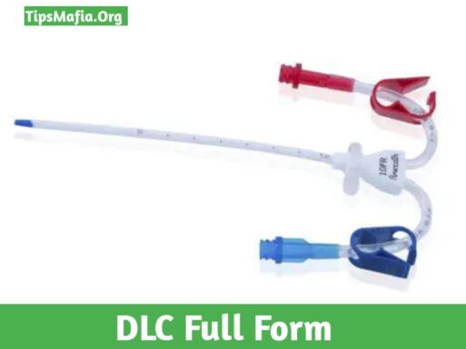 Tlc And Dlc Full Form Archives Tips Mafia
