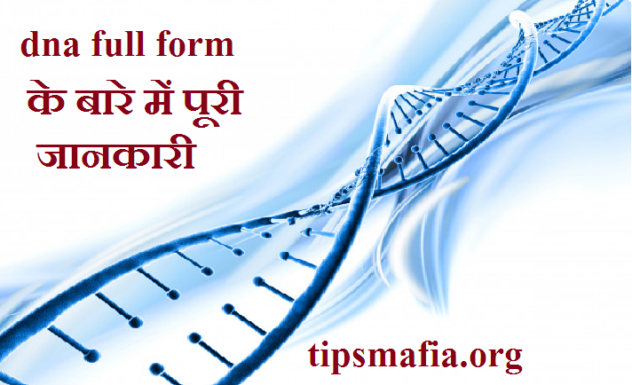DNA full form Hindi | DNA Ka बारे जानकारी
