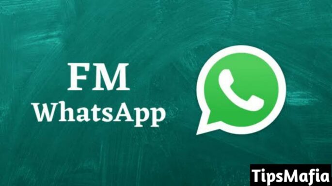 FM WhatsApp डाउनलोड और अपडेट कैसे करे