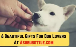 6 Beautiful Gifts For Dog Lovers At Asobubottle.com