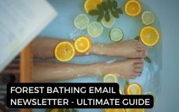 Forest Bathing Email Newsletter – Ultimate Guide