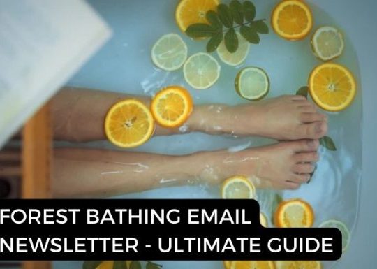 Forest Bathing Email Newsletter – Ultimate Guide