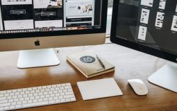 Streaming Brands: Motion-Ready Logos That Hook