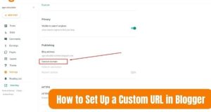 How to Set Up a Custom URL in Blogger – A Complete Guide