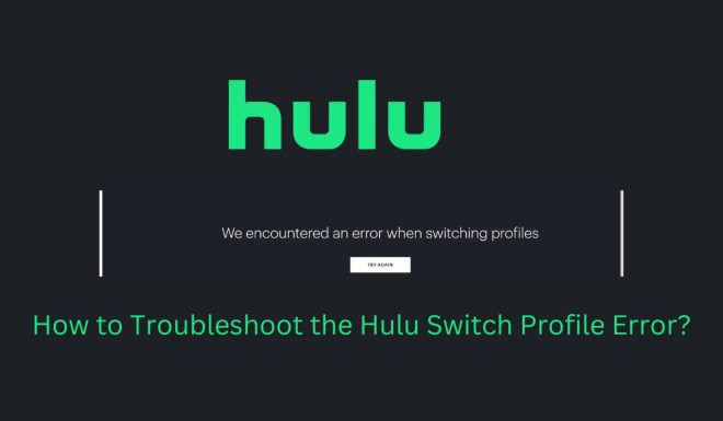 How to Troubleshoot the Hulu Switch Profile Error?
