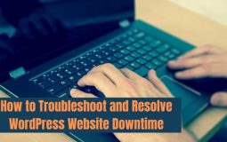 How to Troubleshoot and Resolve WordPress Website Downtime