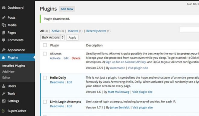 Check Plugins and Themes