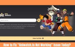 How to Fix “Aniwatch.to Not Working” Issue Today?