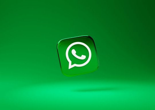 How to Know Who Viewed Your WhatsApp Profile Today?