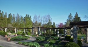 What Outdoor Lighting Fixtures Do You Need for Every Part of Your Exterior Space