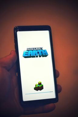 Wandering Trader in Minecraft: Spawning, Drops, Behavior