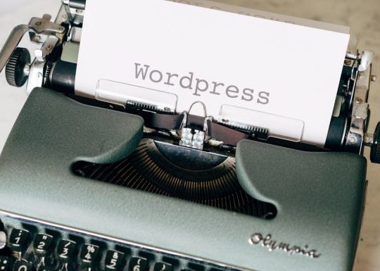 WordPress Plugin Age Verification Hacks That Will Keep Your Website Safe And Legal