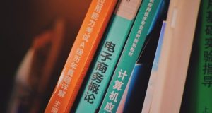 Top Local SEO Services in Denver That Deliver Results for 2025