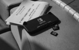 Switch Lite accessories: essentials Switch Lite accessories: essentials