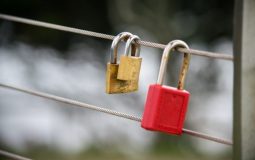 Paramount 3005 and Ad-Blockers: Exceptions and Clean Profiles