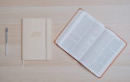 Semrush vs Mangools: Which One is Right for You in 2026?