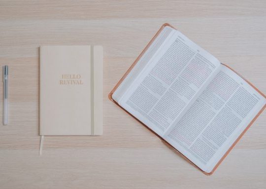 Semrush vs Mangools: Which One is Right for You in 2026?