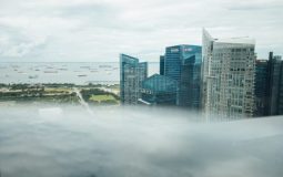 Top 7 Team-Based Business Card Platforms Growing Companies Use to Standardize Employee Cards