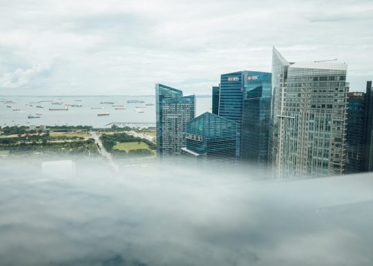 Top 7 Team-Based Business Card Platforms Growing Companies Use to Standardize Employee Cards