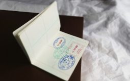 How to Recover a Dropshipping Store After Unexpected Bulk Order Cancellations and Payment Gateway Flags — What I Learned From a $500 Loss