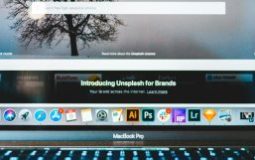 Handling Duplicate Site Names in Multisite Networks