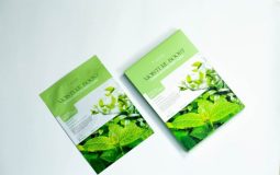 Demand Generation vs Growth Marketing