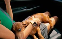 Android Auto & Phone Health: Common Complaints, Battery/Performance Issues, and What You Should Know Before Plugging In