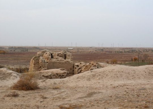 Beit Bart: The Ultimate Guide to Meaning, History, and Modern Significance