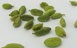 Koriandri: A Trusted Herb for Flavor, Health, and Everyday Cooking