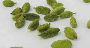 Koriandri: A Trusted Herb for Flavor, Health, and Everyday Cooking