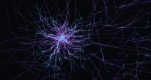 The Hidden Truth About Korpenpelloz: A Powerful and Insightful Exploration of an Emerging Phenomenon