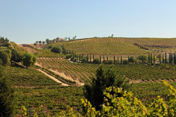 Why So Many Residents Stay in Temecula Long-Term