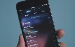 5 Language Learning Platforms That Accelerate Fluency By 3X