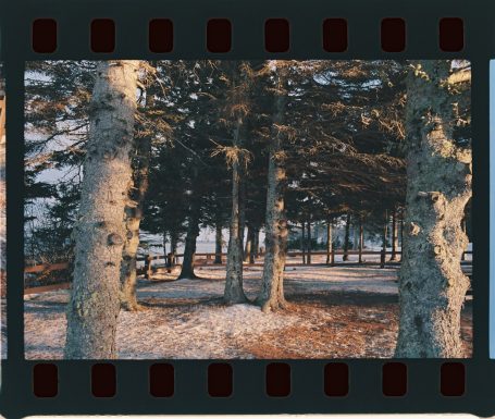 How to Remove White Lines From Scanned Photos in GIMP